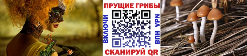 Купить где  Уварово  Галлюциногенные грибы ЛСД 